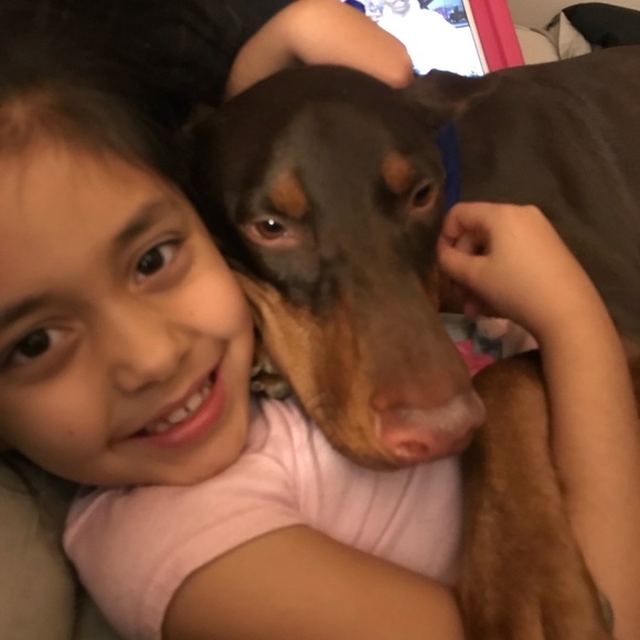 You favorite items are being auctioned!!!! Ahhhhhhh! - Picture 10 of 12